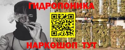 прущие грибы Моздок