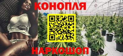 прущие грибы Моздок