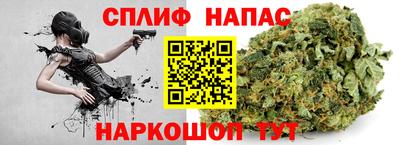 прущие грибы Моздок